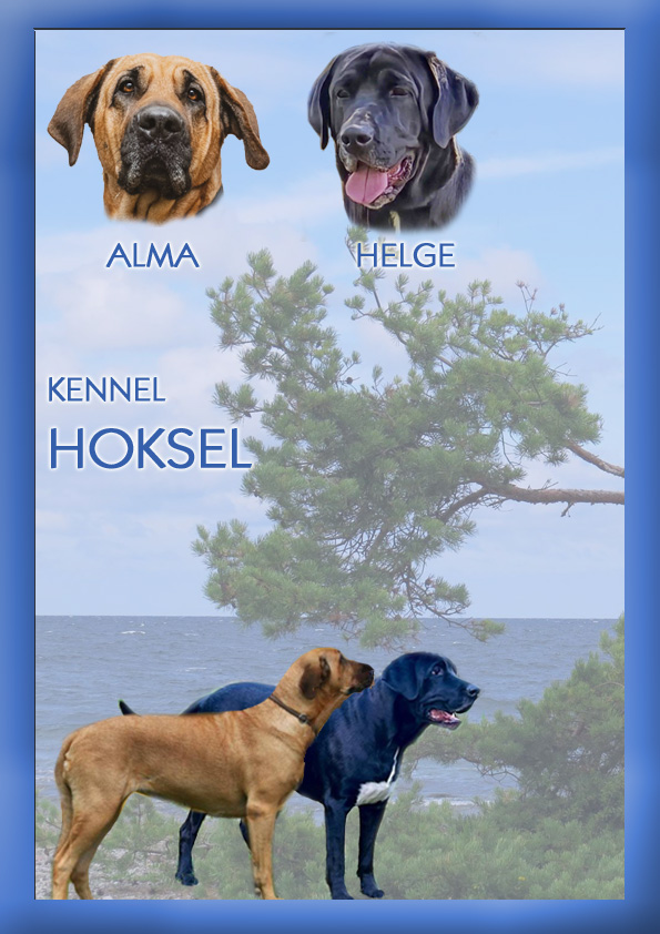 Alma_Helge